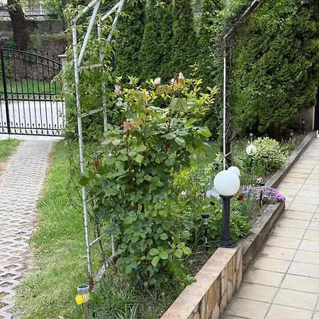 руми Velingrad
